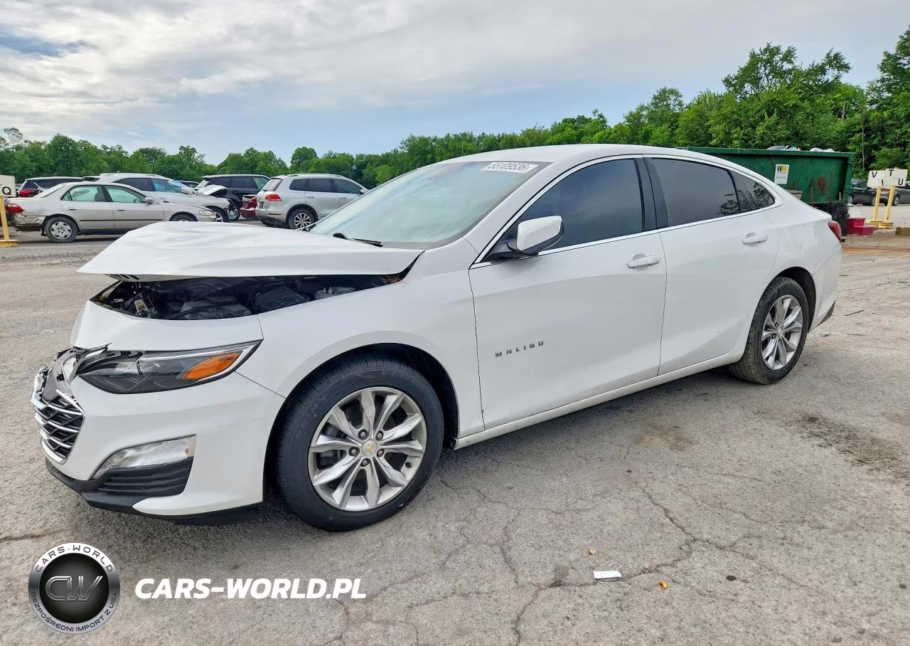 2019 Chevrolet Malibu Lt