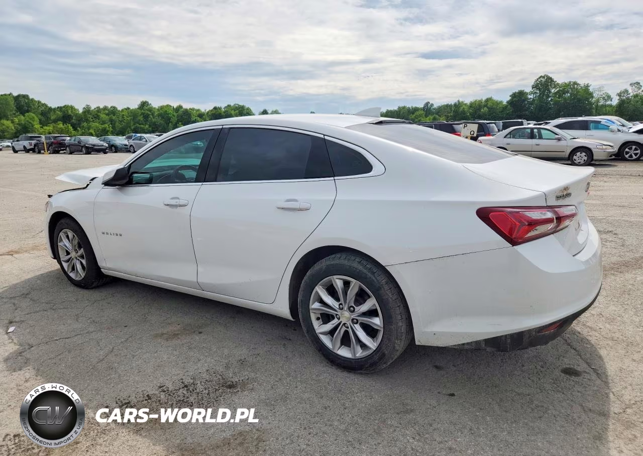 2019 Chevrolet Malibu Lt VIN:1G1ZD5ST6KF113234 - 2