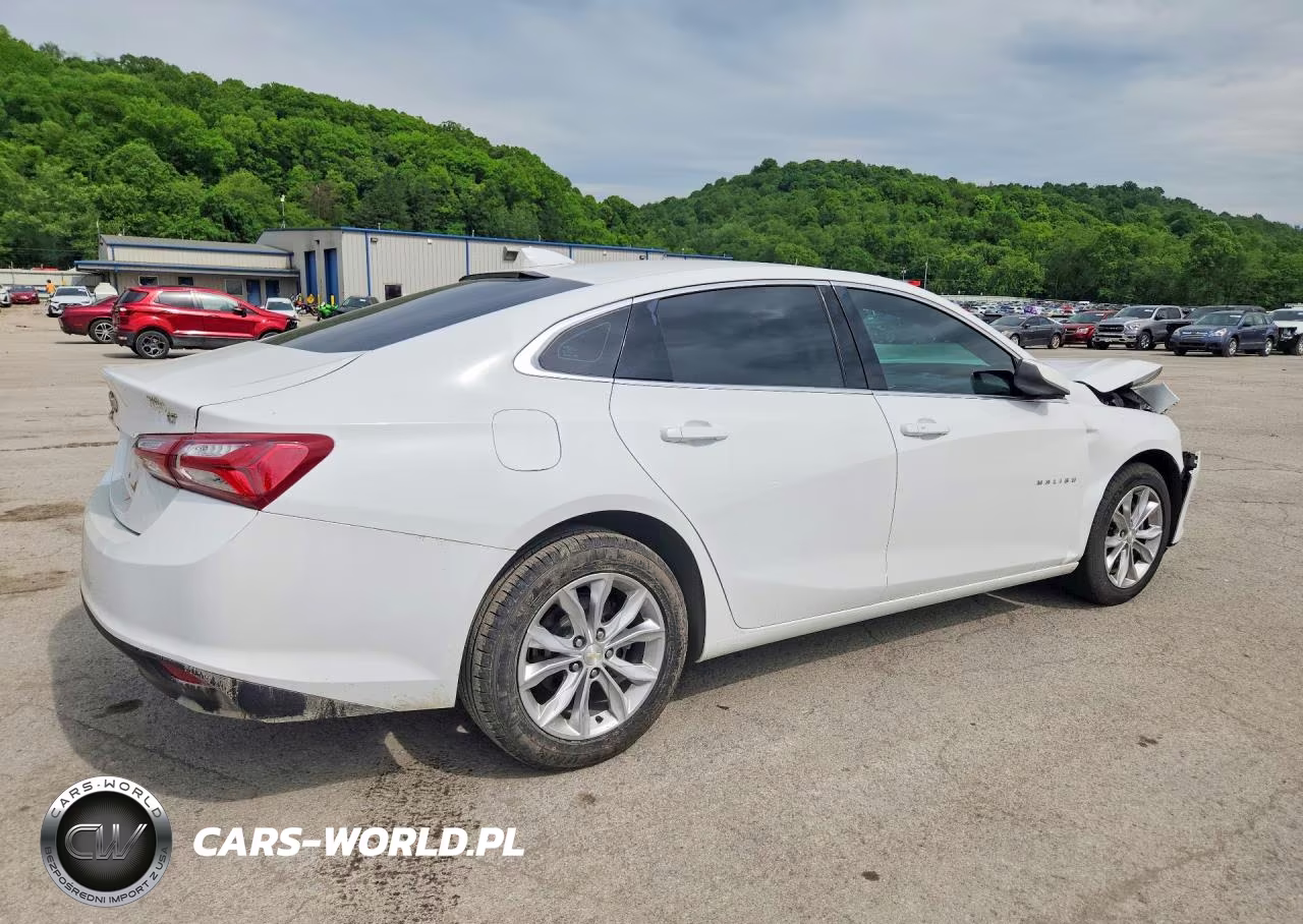 2019 Chevrolet Malibu Lt VIN:1G1ZD5ST6KF113234 - 3