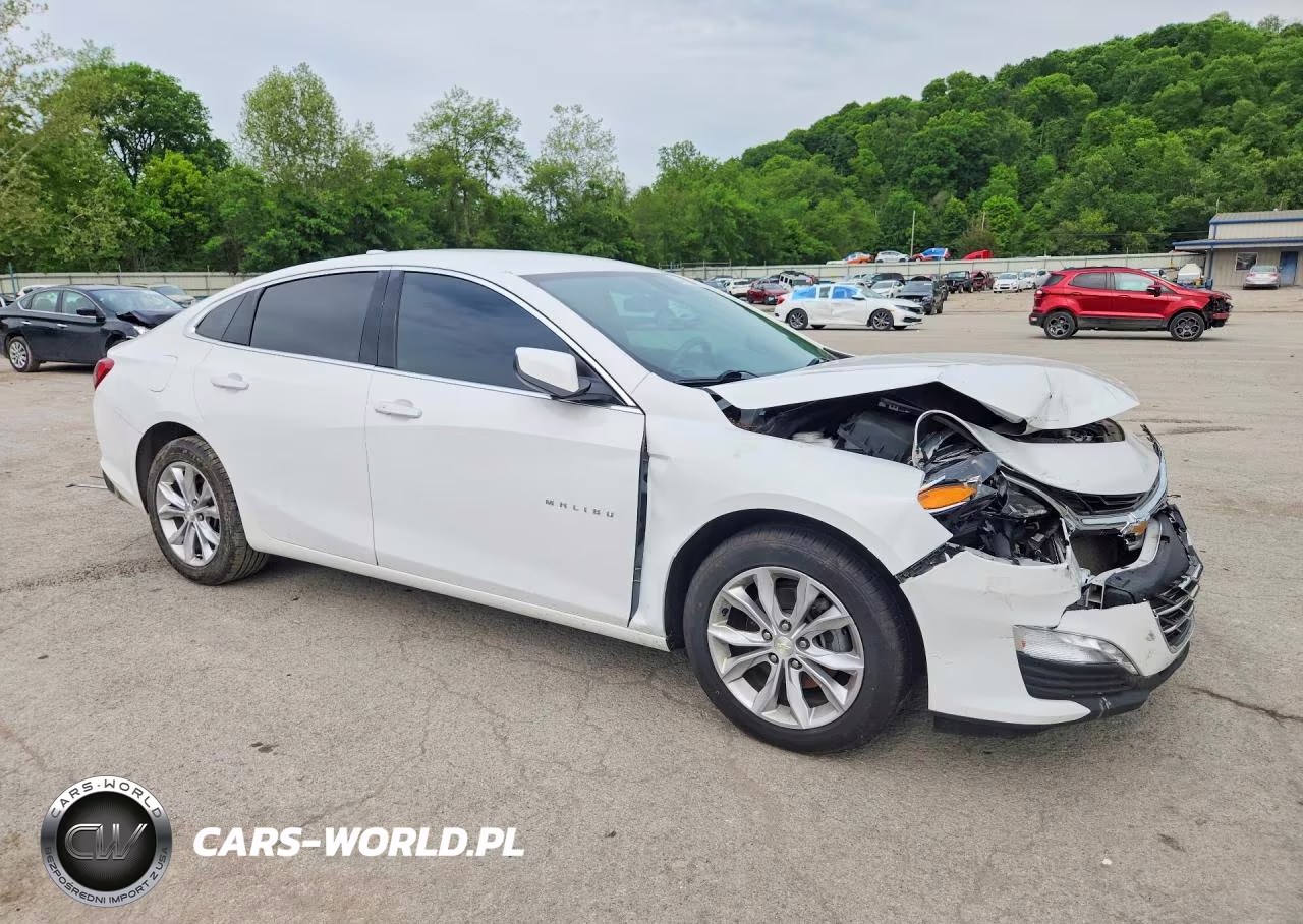 2019 Chevrolet Malibu Lt VIN:1G1ZD5ST6KF113234 - 4