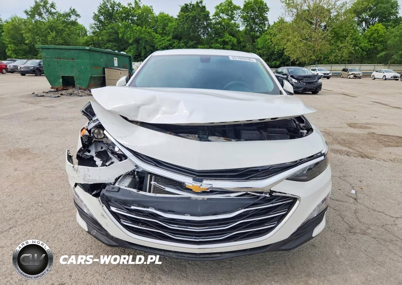 2019 Chevrolet Malibu Lt VIN:1G1ZD5ST6KF113234 - 5