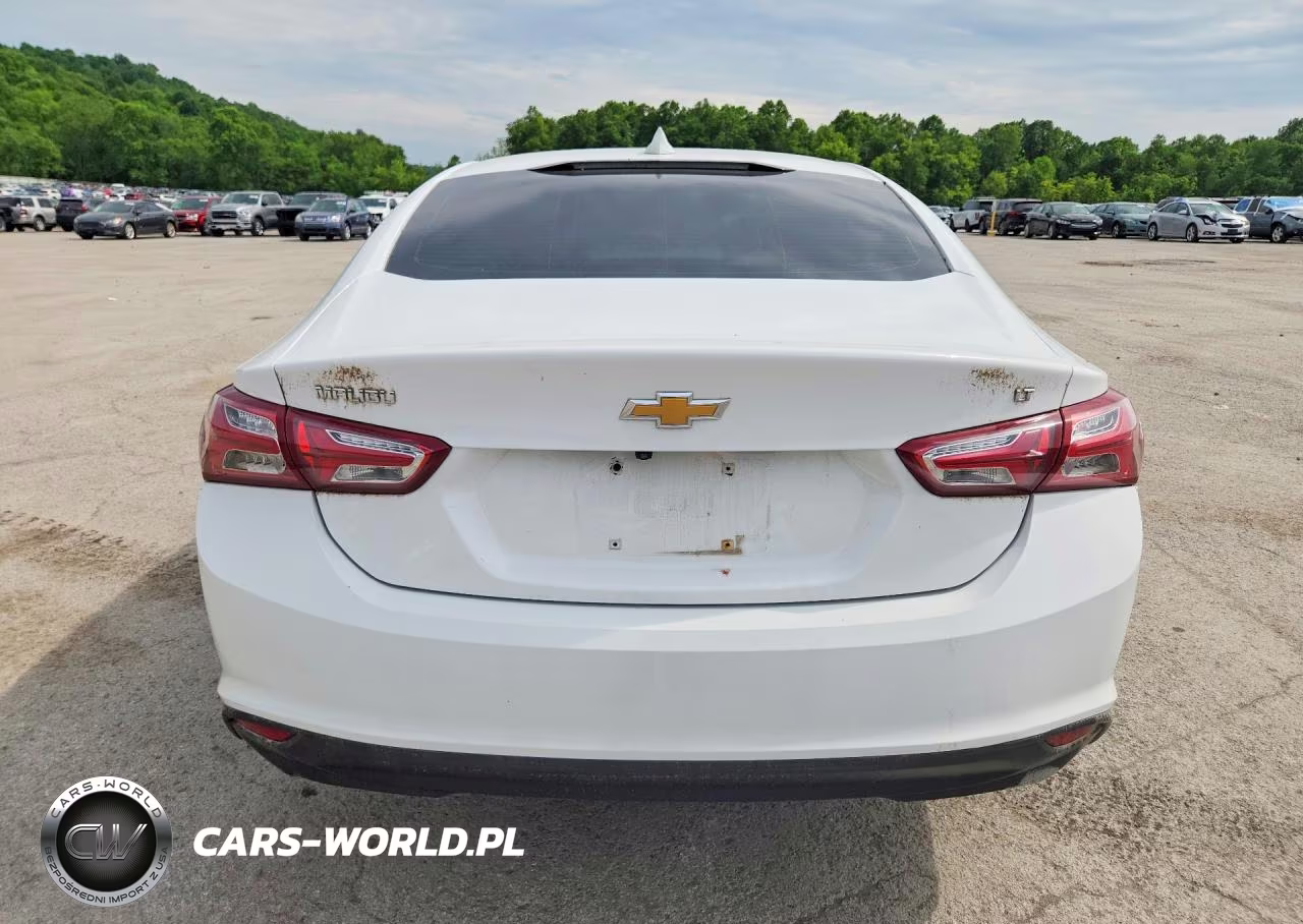 2019 Chevrolet Malibu Lt VIN:1G1ZD5ST6KF113234 - 6