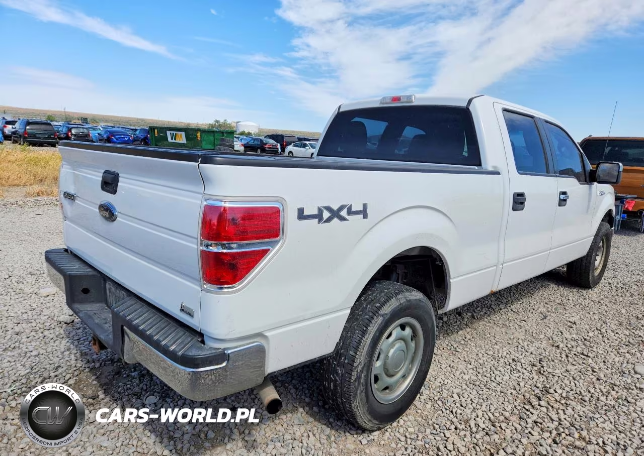 2010 Ford F150 Supercrew VIN:1FTFW1EV8AFD34200 - 3