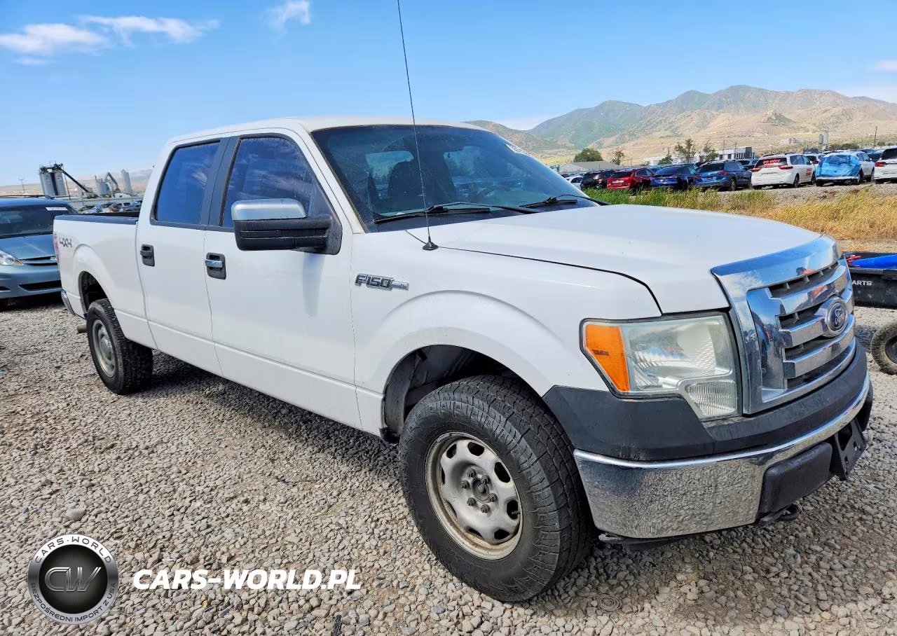 2010 Ford F150 Supercrew VIN:1FTFW1EV8AFD34200 - 4