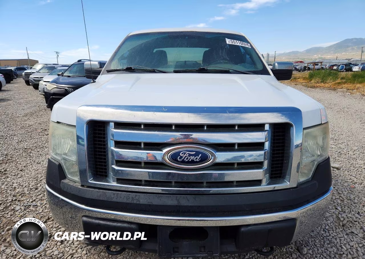 2010 Ford F150 Supercrew VIN:1FTFW1EV8AFD34200 - 5