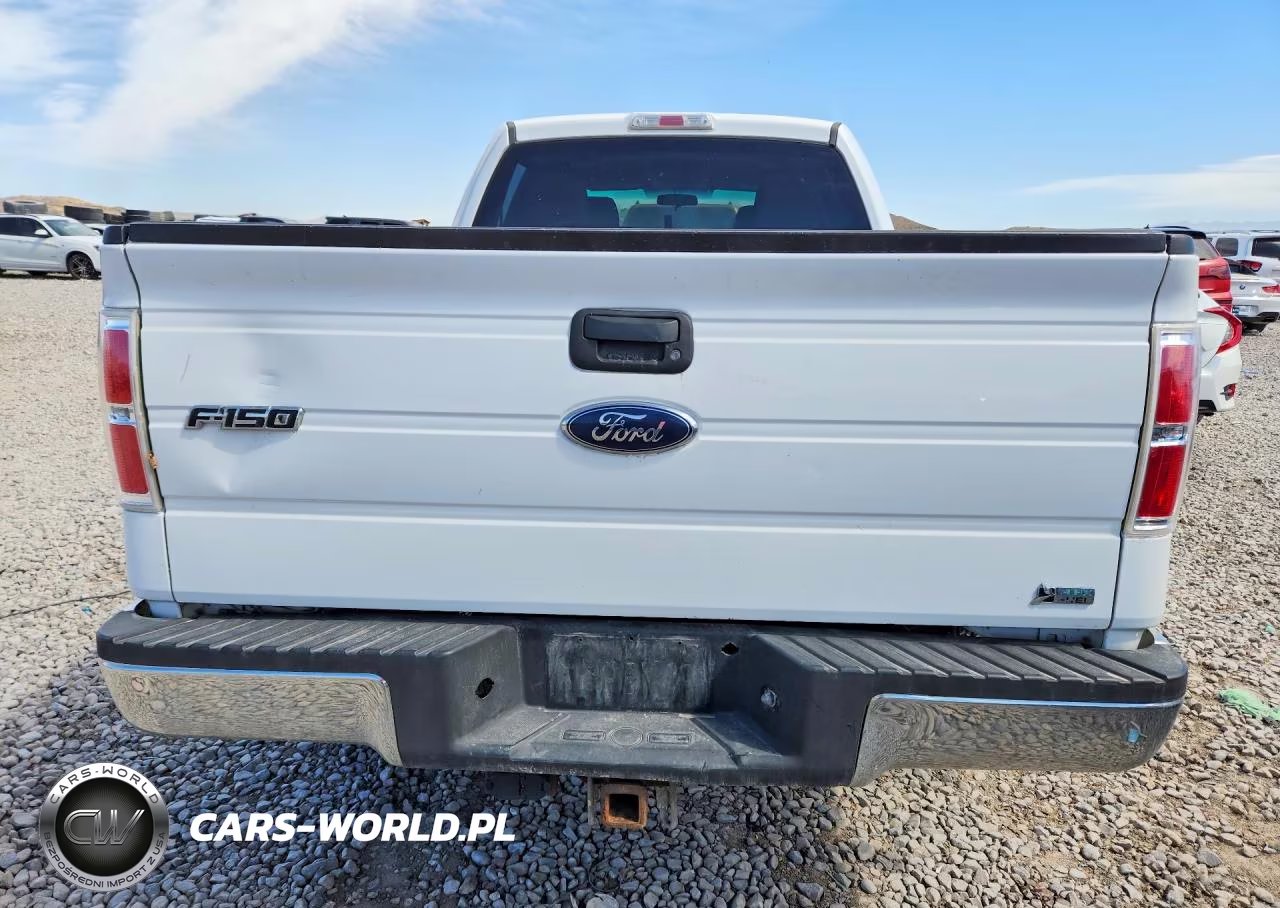 2010 Ford F150 Supercrew VIN:1FTFW1EV8AFD34200 - 6