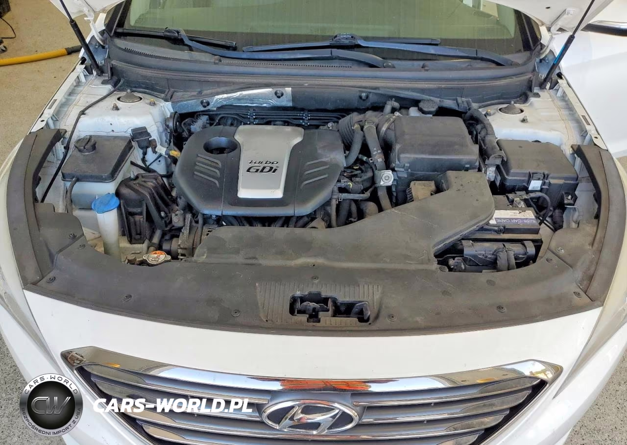 2015 Hyundai Sonata Eco VIN:5NPE24AA4FH173658 - 11