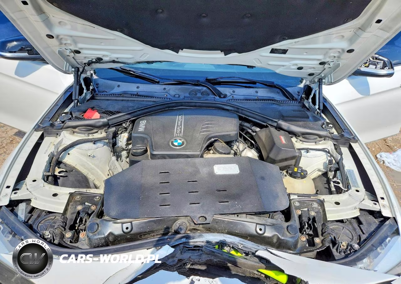 2015 BMW 328 Xi Sulev VIN:WBA3B5G52FNS18973 - 11