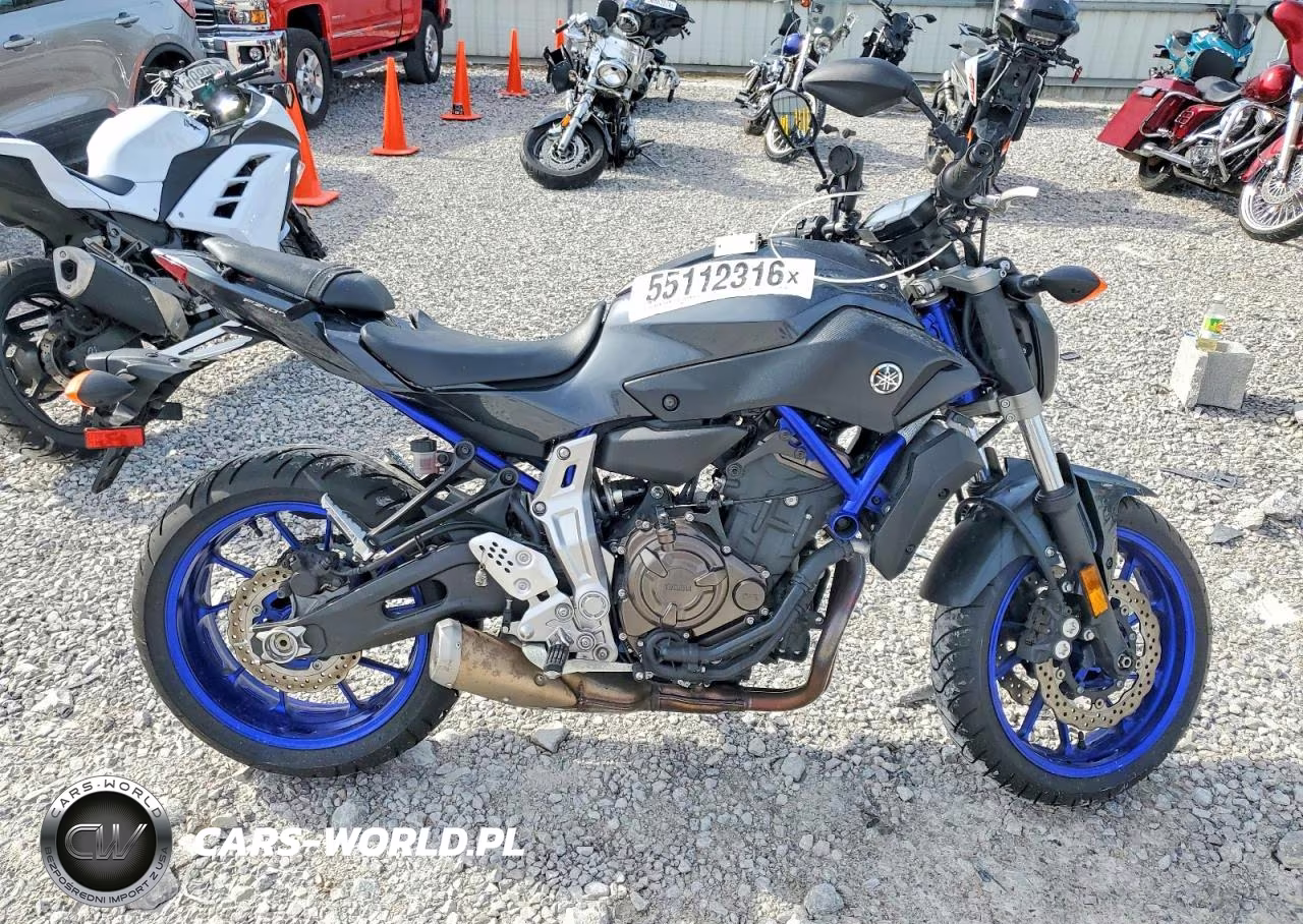 2015 Yamaha Fz07