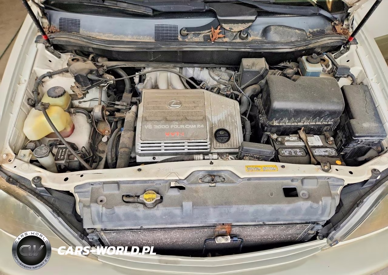 2000 Lexus Rx 300 VIN:JT6HF10U5Y0142793 - 11