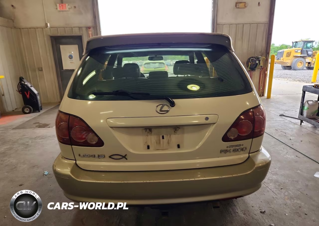2000 Lexus Rx 300 VIN:JT6HF10U5Y0142793 - 6