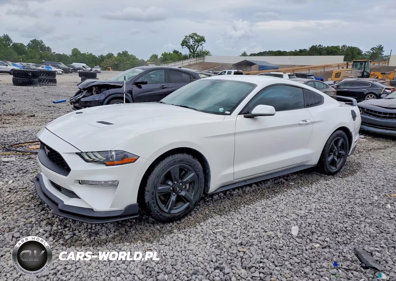 2019 Ford Mustang