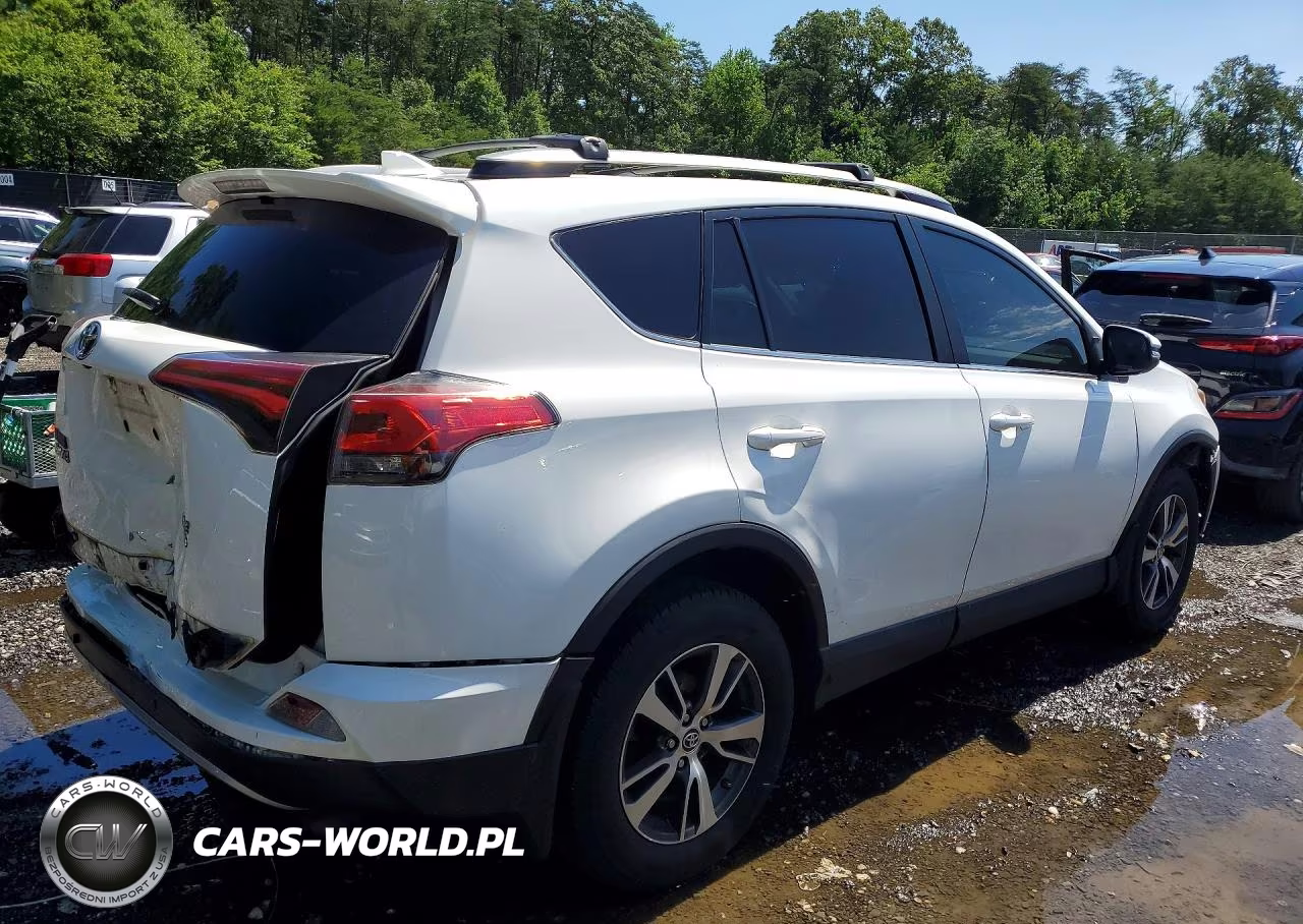 2018 Toyota Rav4 Xle VIN:2T3RFREV5JW845745 - 3