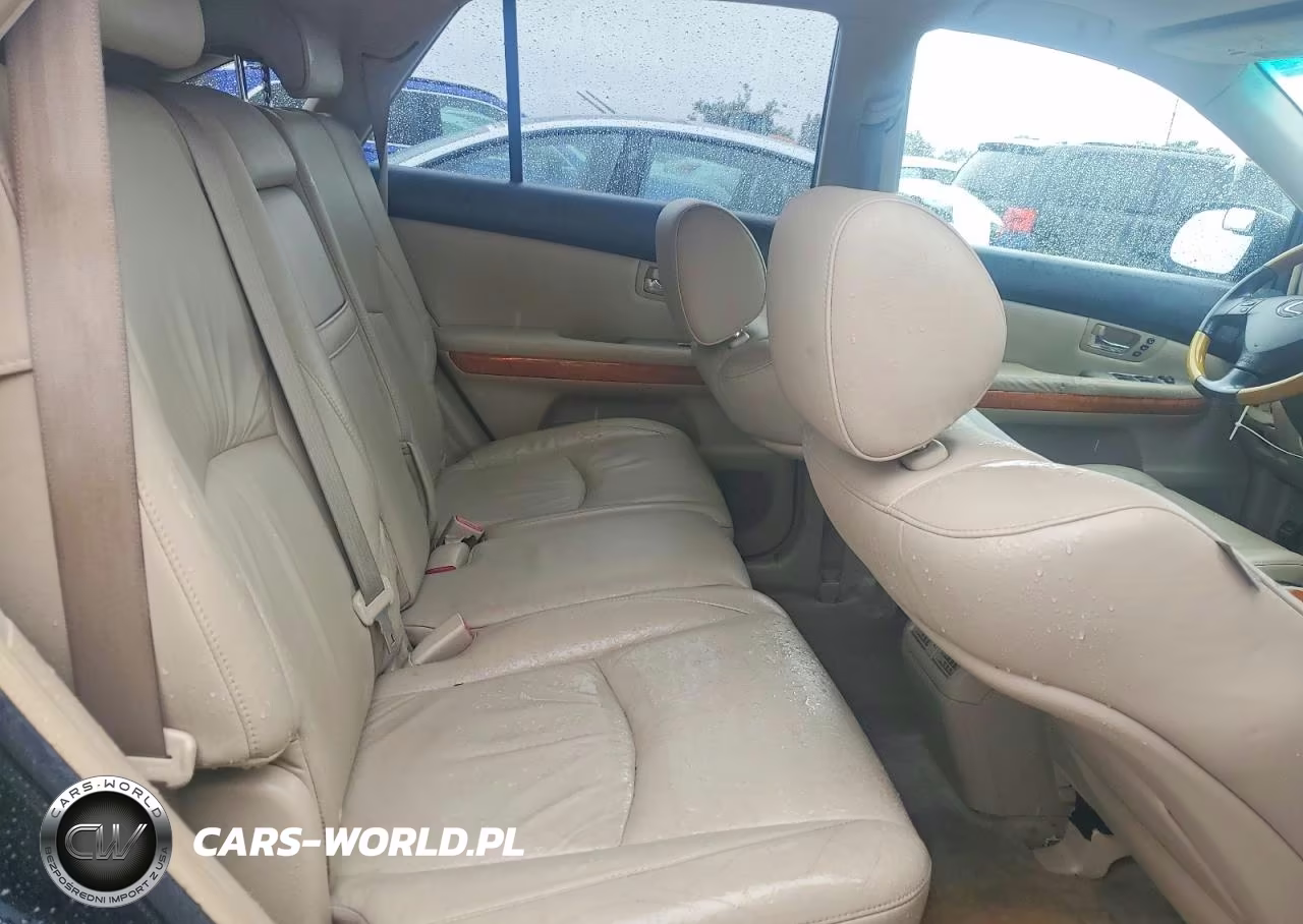 2006 Lexus Rx 400 VIN:JTJGW31U662000546 - 11