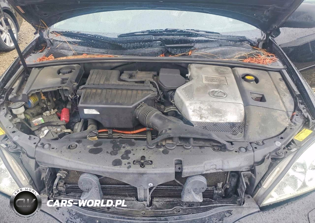 2006 Lexus Rx 400 VIN:JTJGW31U662000546 - 12