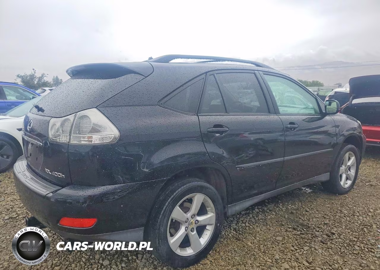 2006 Lexus Rx 400 VIN:JTJGW31U662000546 - 3