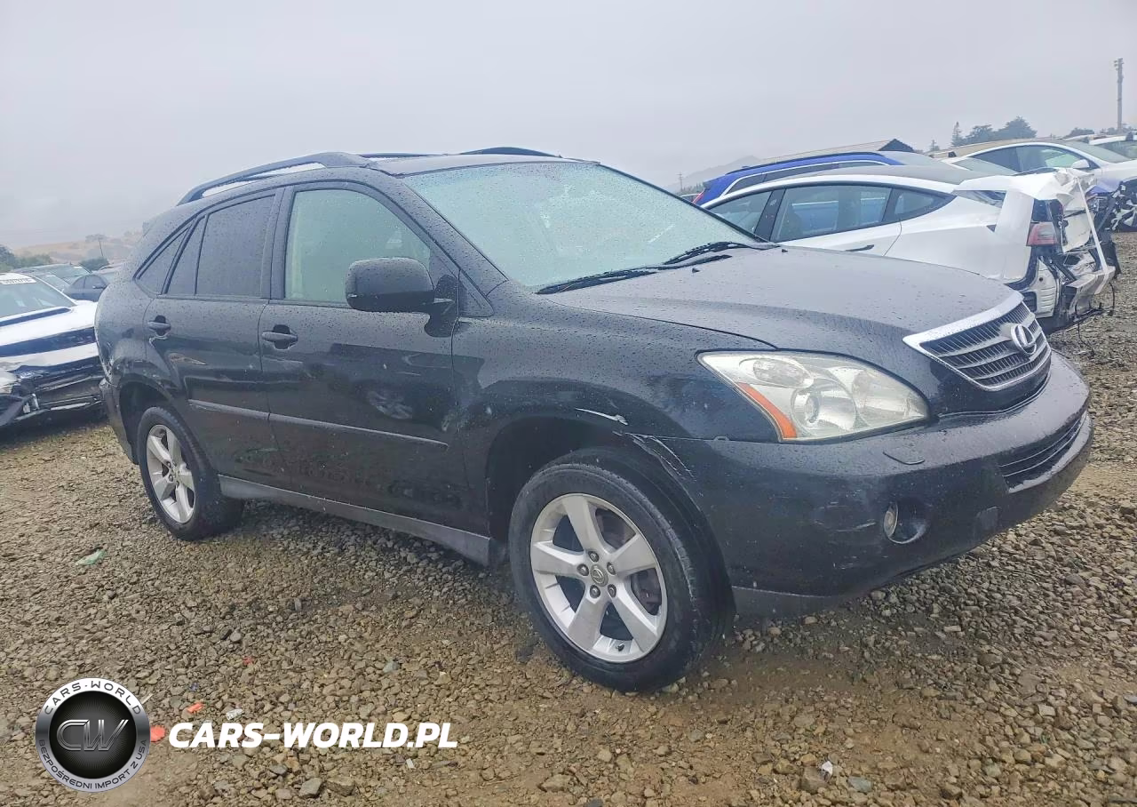 2006 Lexus Rx 400 VIN:JTJGW31U662000546 - 4