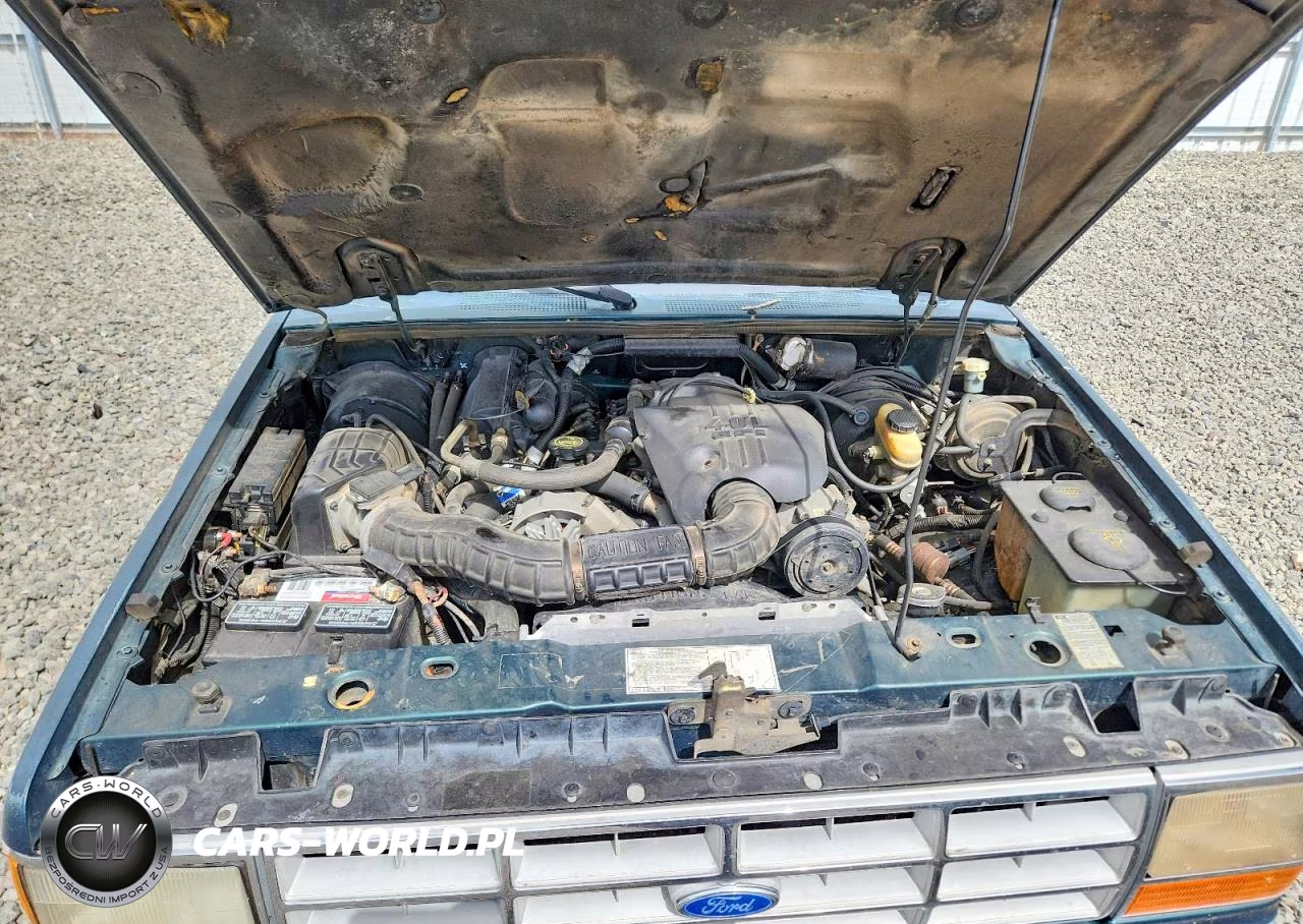 1991 Ford Ranger VIN:1FTCR11X7MPA10817 - 11