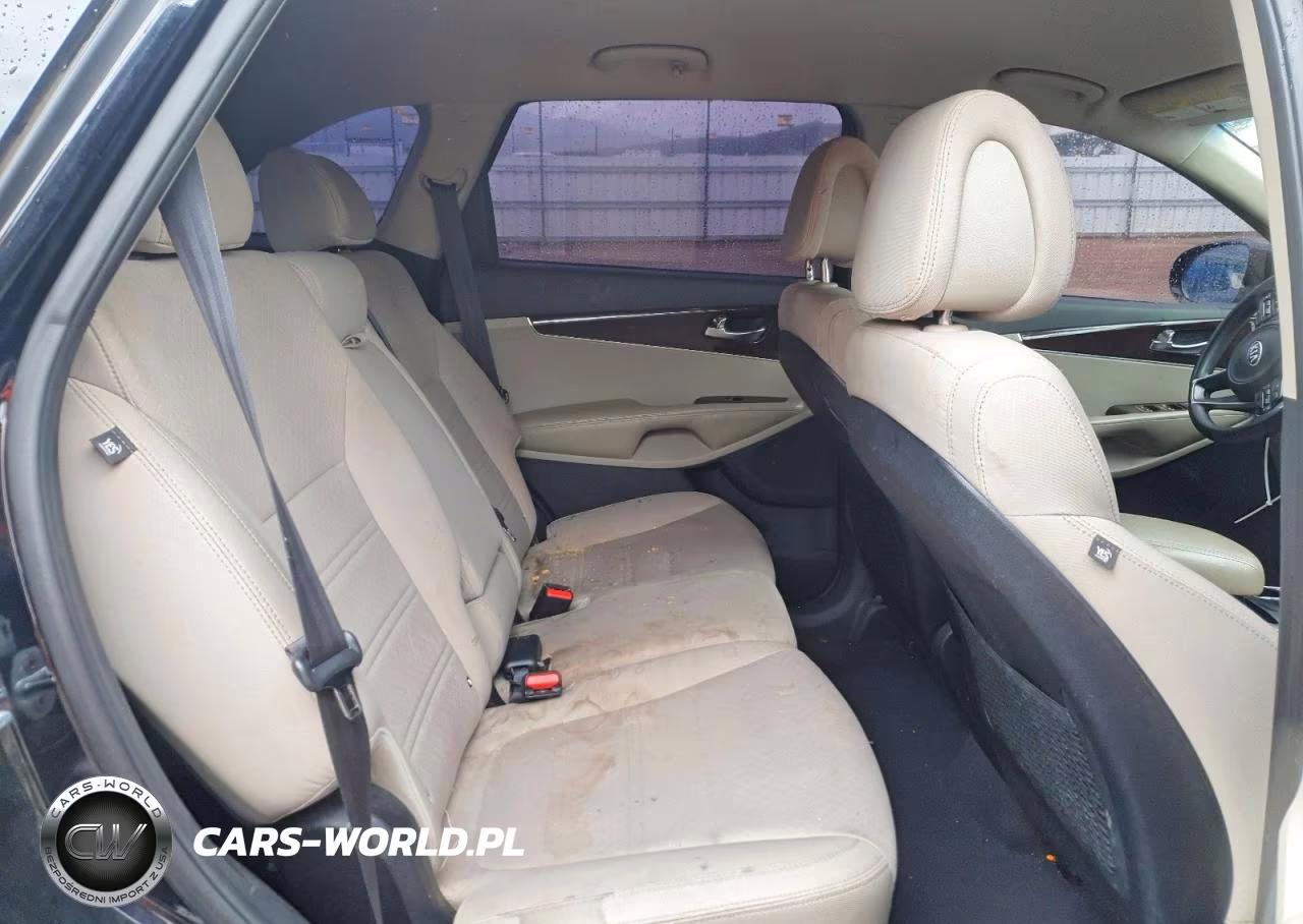 2016 Kia Sorento Lx VIN:5XYPG4A39GG181582 - 10
