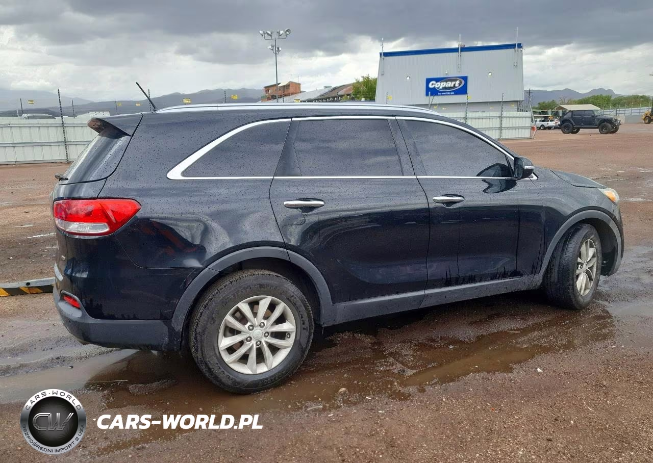 2016 Kia Sorento Lx VIN:5XYPG4A39GG181582 - 3