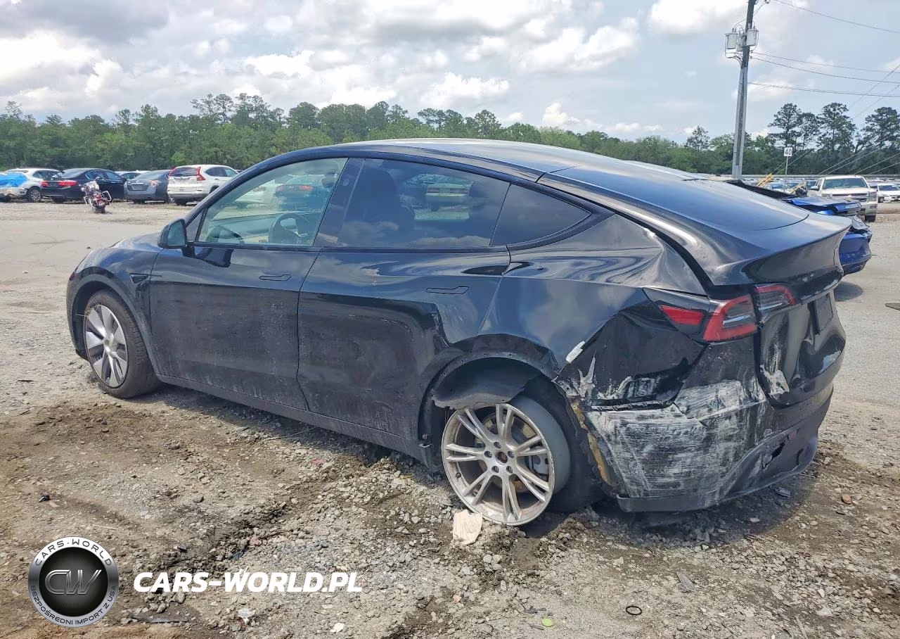 2023 Tesla Model Y VIN:7SAYGDEE6PA188769 - 2