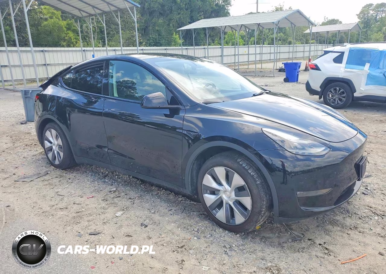 2023 Tesla Model Y VIN:7SAYGDEE6PA188769 - 4