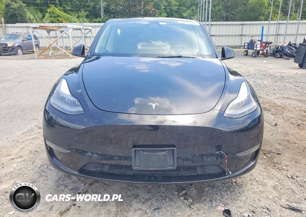 2023 Tesla Model Y VIN:7SAYGDEE6PA188769 - 5