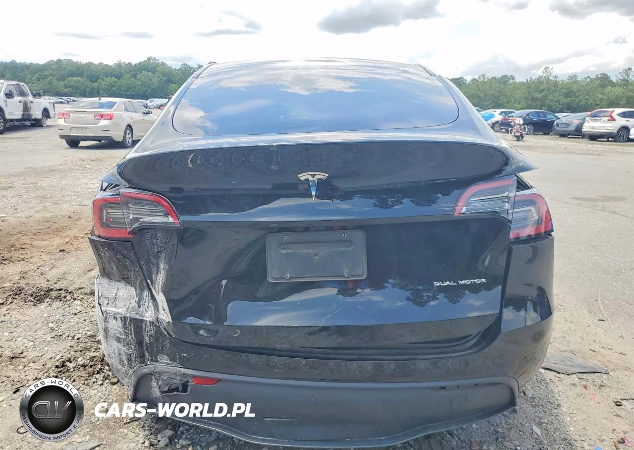 2023 Tesla Model Y VIN:7SAYGDEE6PA188769 - 6