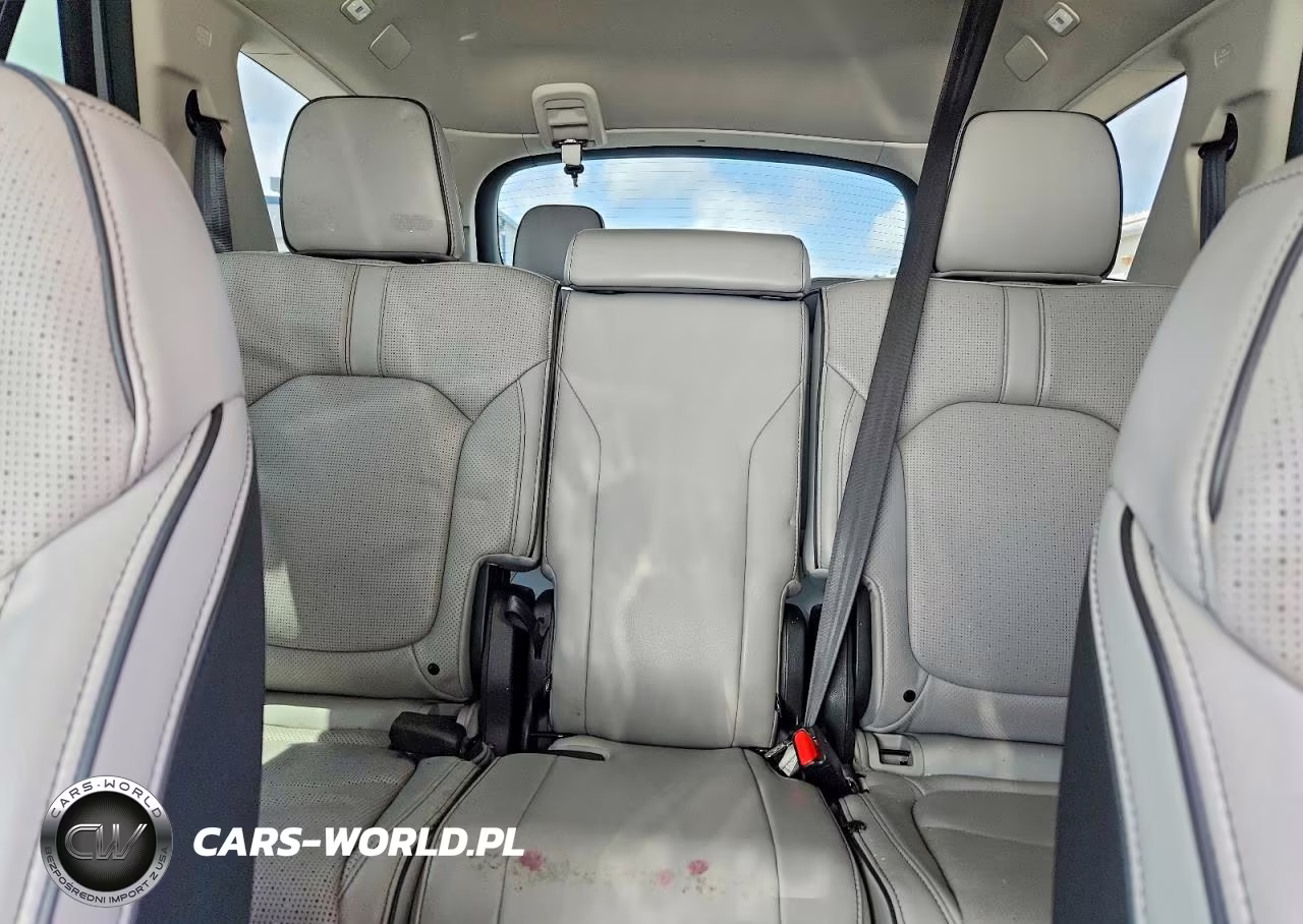 2023 Honda Pilot Elite VIN:5FNYG1H89PB023805 - 10