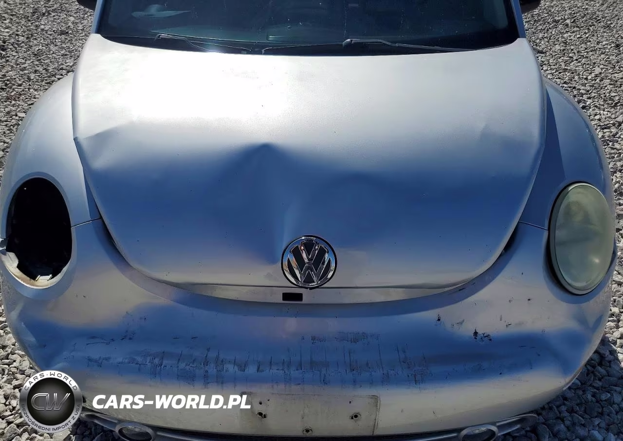 2000 Volkswagen New Beetle Glx VIN:3VWDD21C9YM499543 - 11