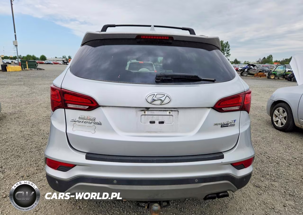 2017 Hyundai Santa Fe Sport 2.0T Ultimate VIN:5XYZWDLA2HG454712 - 6