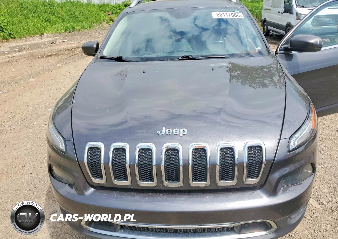 2016 Jeep Cherokee Limited VIN:1C4PJMDSXGW227282 - 12