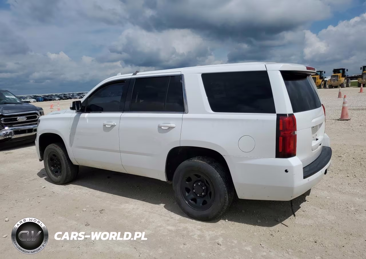 2018 Chevrolet Tahoe Police VIN:1GNLCDEC1JR344729 - 2