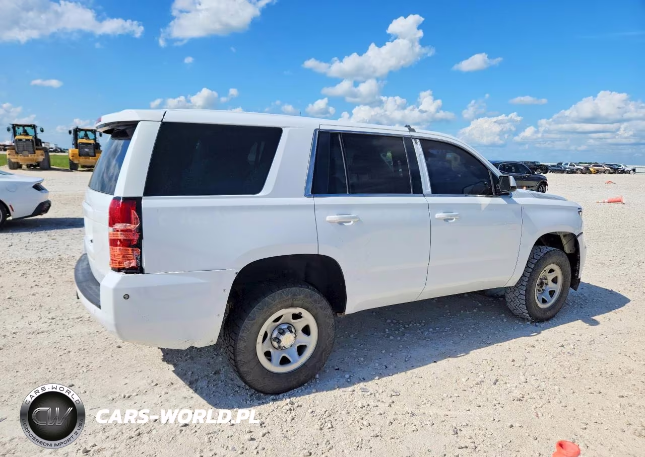 2018 Chevrolet Tahoe Special VIN:1GNSKFECXJR344755 - 3