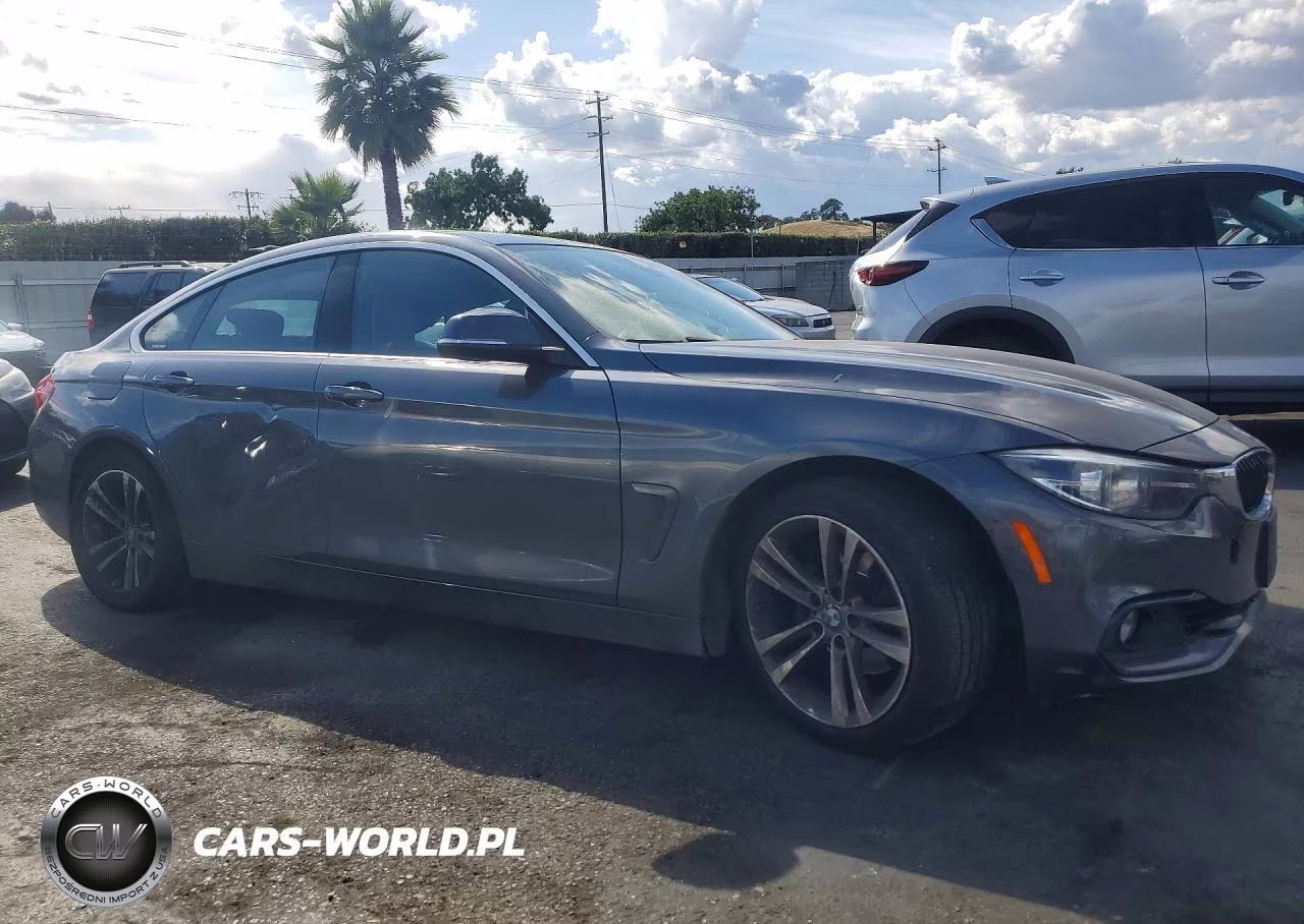 2019 BMW 430I Gran Coupe VIN:WBA4J1C53KBM15412 - 4