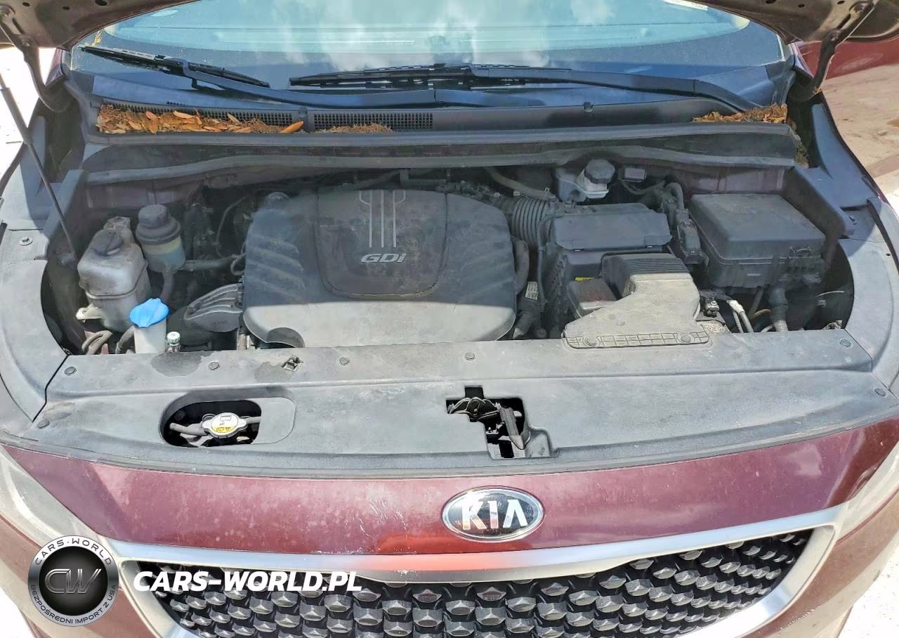 2017 Kia Sedona Lx VIN:KNDMB5C16H6226470 - 12