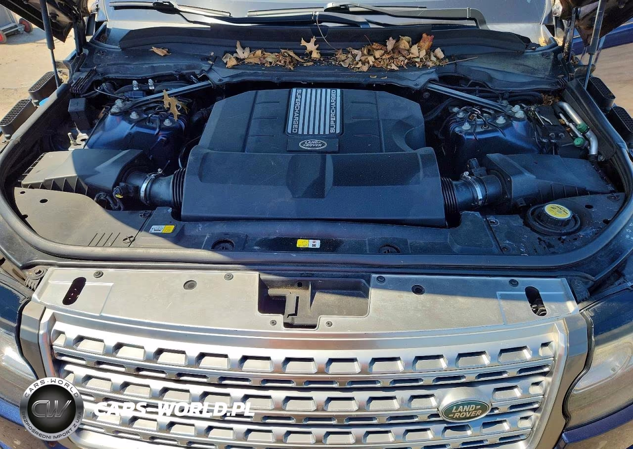 2016 Land Range Rover VIN:SALGS2VFXGA270691 - 12