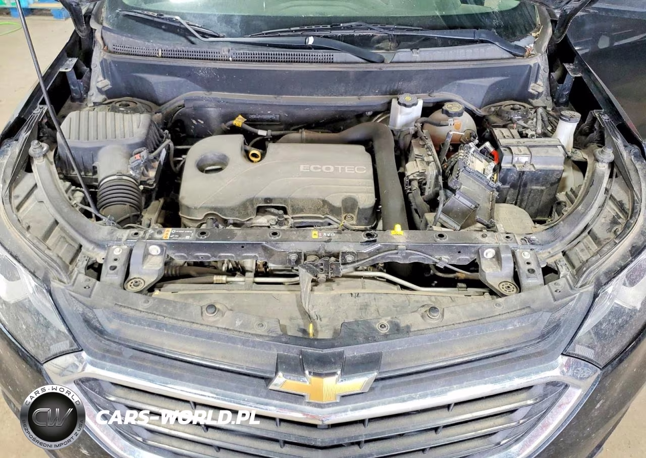2019 Chevrolet Equinox Lt VIN:2GNAXUEVXK6203412 - 12