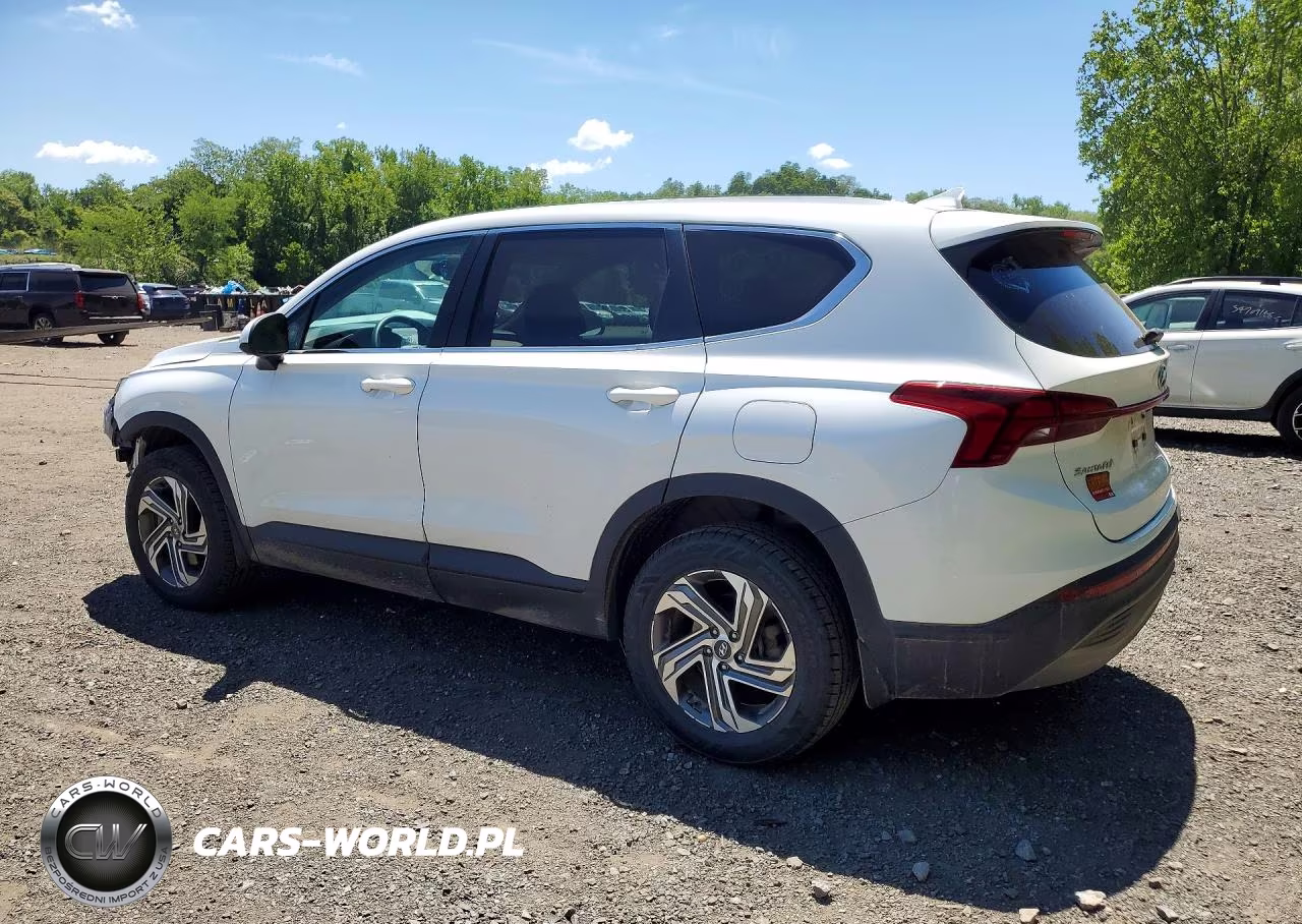 2021 Hyundai Santa Fe Se VIN:5NMS1DAJ1MH344463 - 2