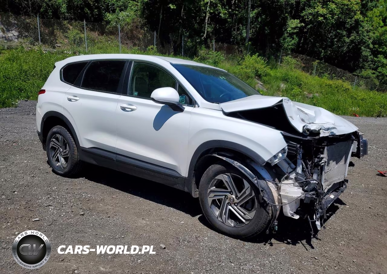 2021 Hyundai Santa Fe Se VIN:5NMS1DAJ1MH344463 - 3