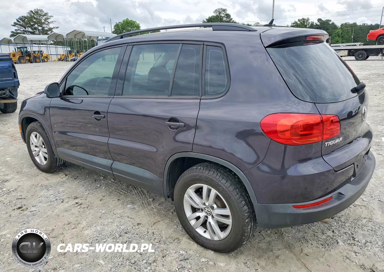 2016 Volkswagen Tiguan S VIN:WVGAV7AXXGW595386 - 2