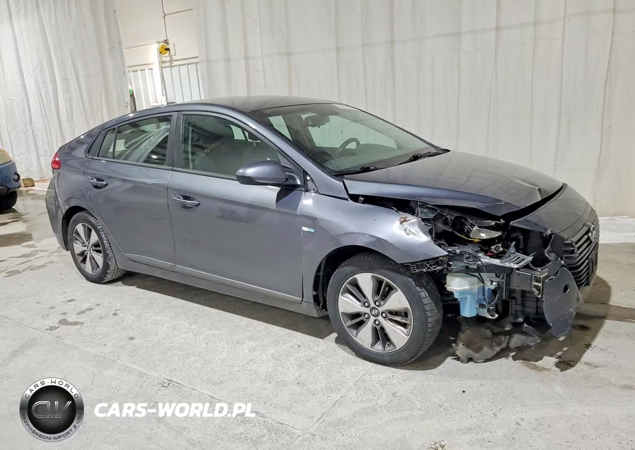 2019 Hyundai Ioniq Plug-In Hybrid Base VIN:KMHC65LD7KU172797 - 4