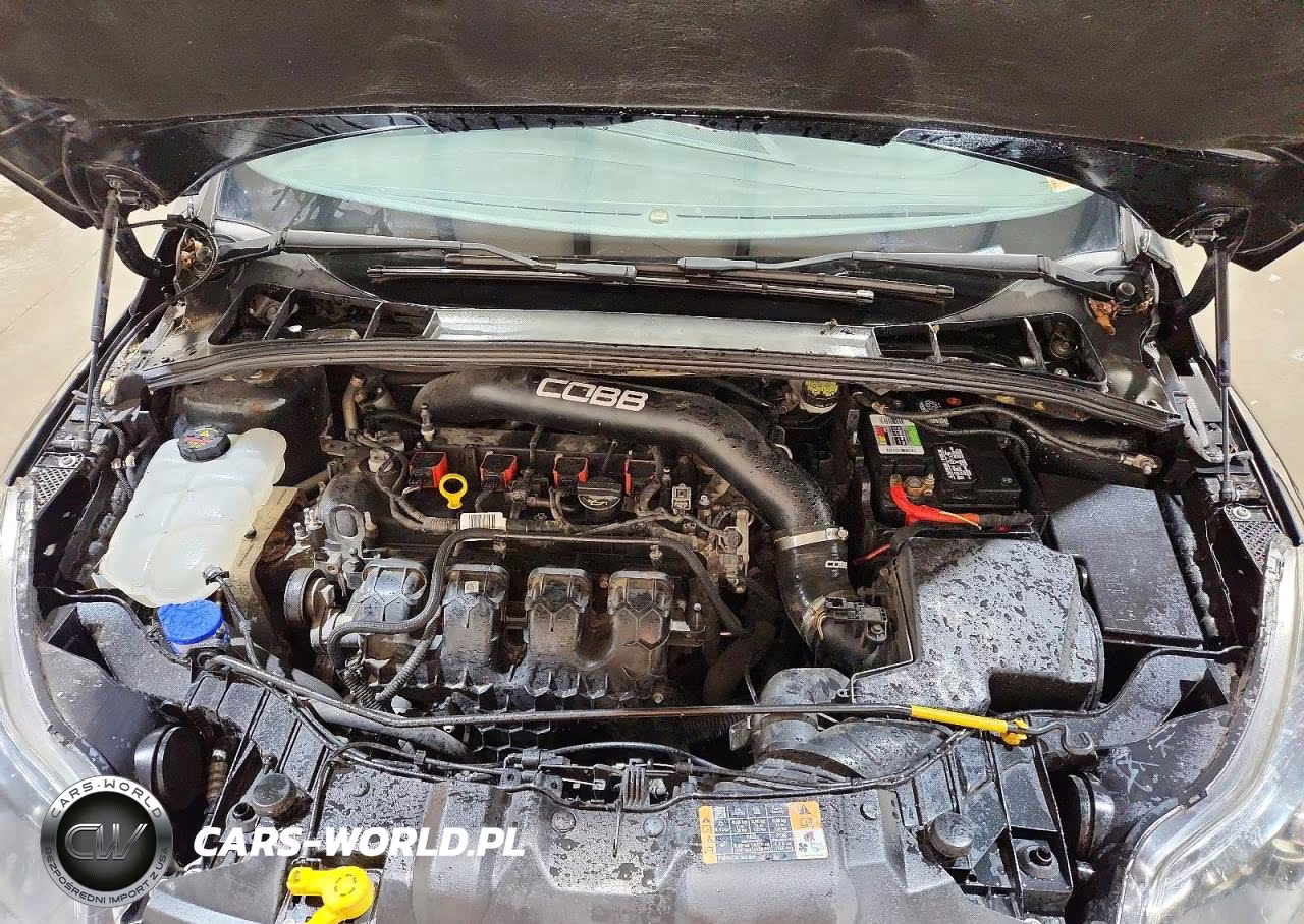 2014 Ford Focus St VIN:1FADP3L96EL420026 - 12