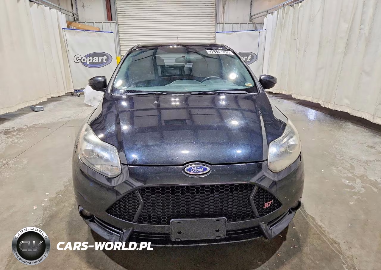 2014 Ford Focus St VIN:1FADP3L96EL420026 - 5