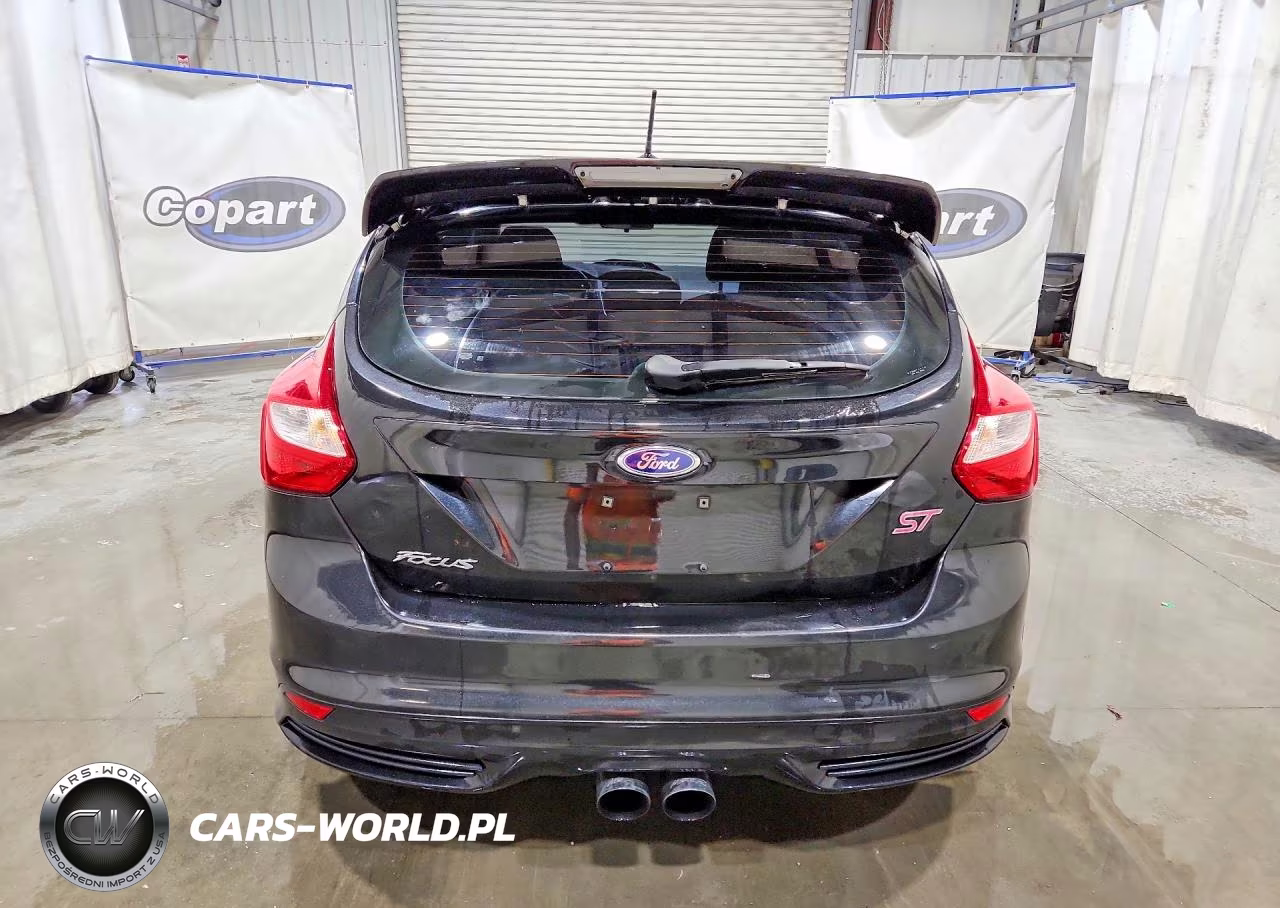 2014 Ford Focus St VIN:1FADP3L96EL420026 - 6