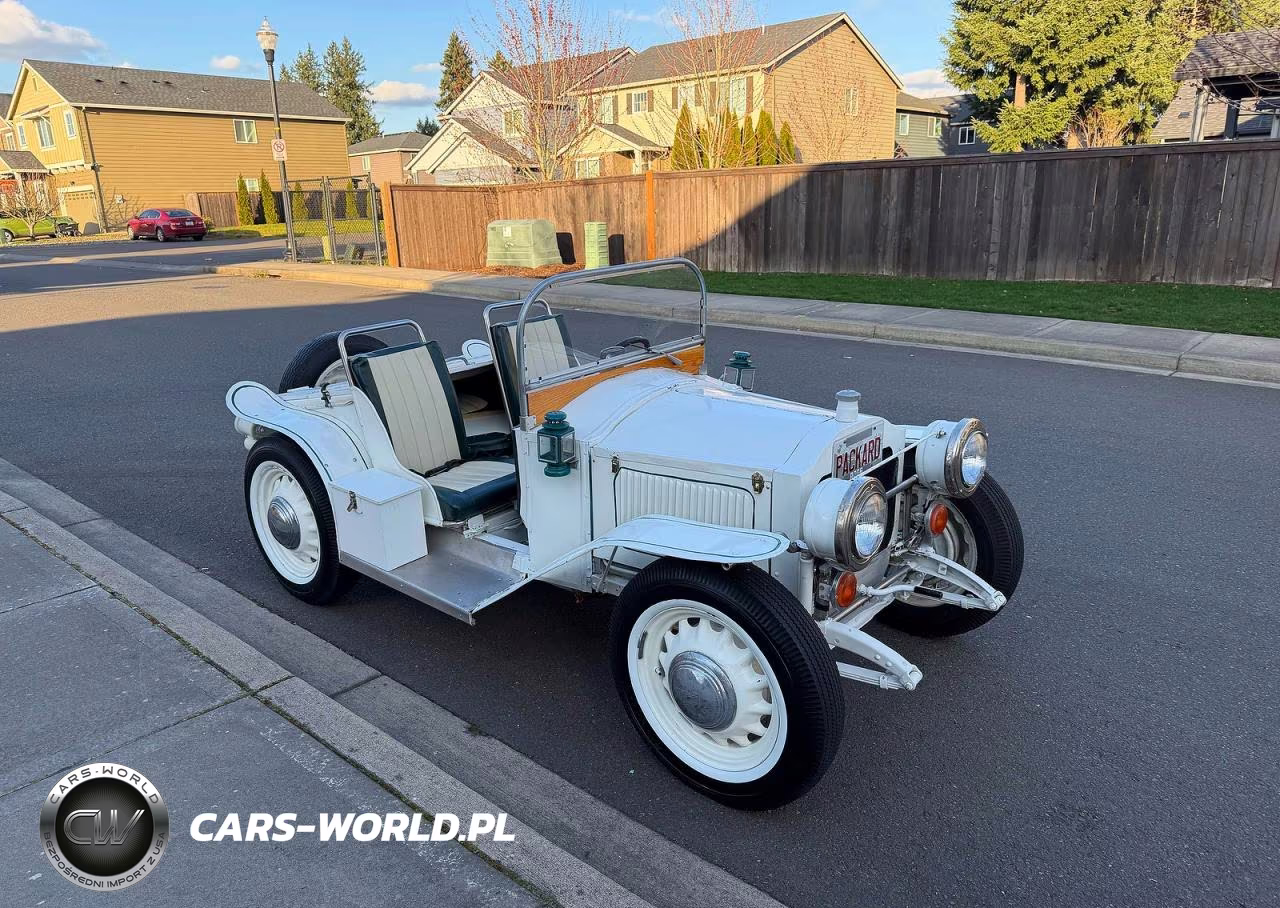 1920 Packard Packard Runabout