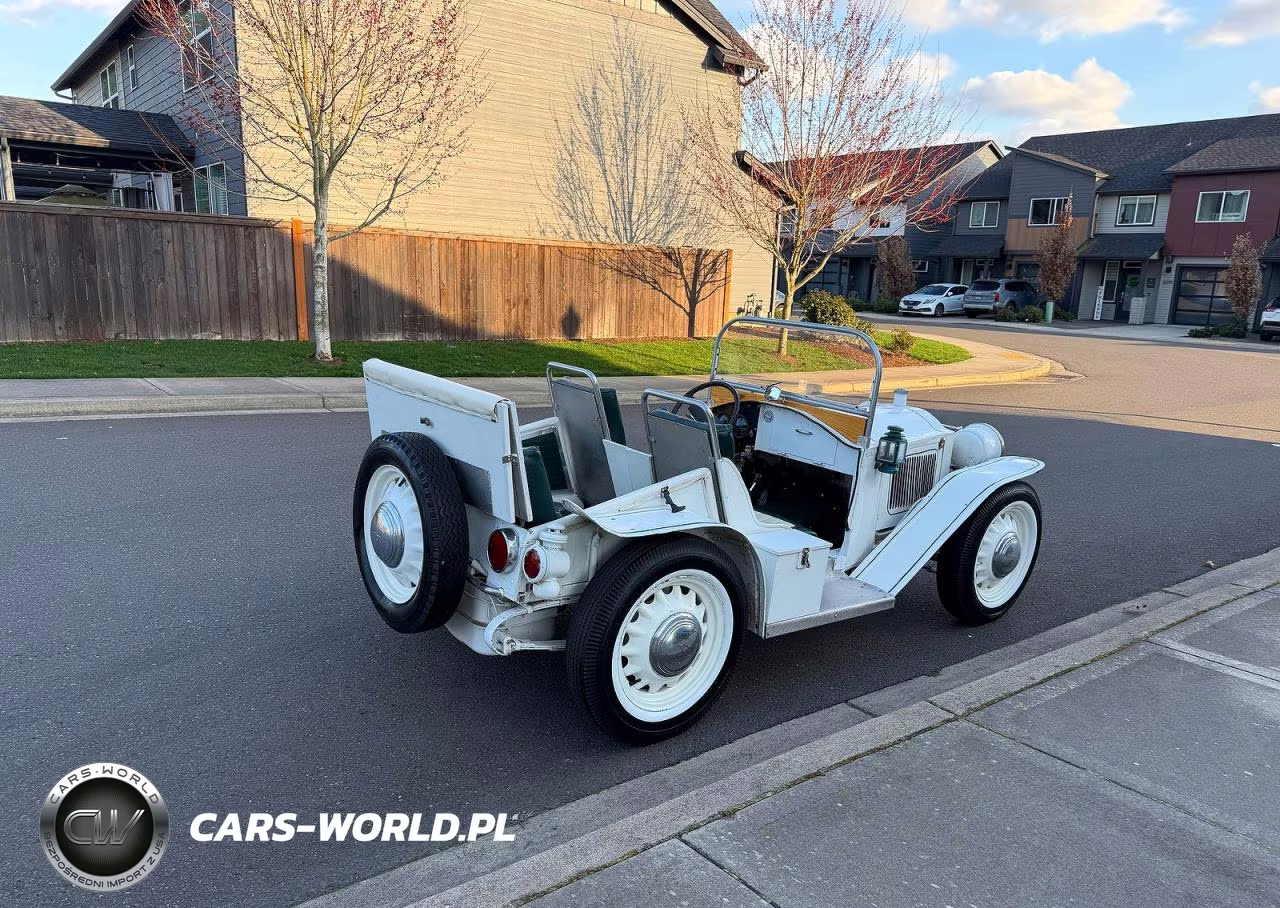 1920 Packard Packard Runabout VIN:OR56817 - 3