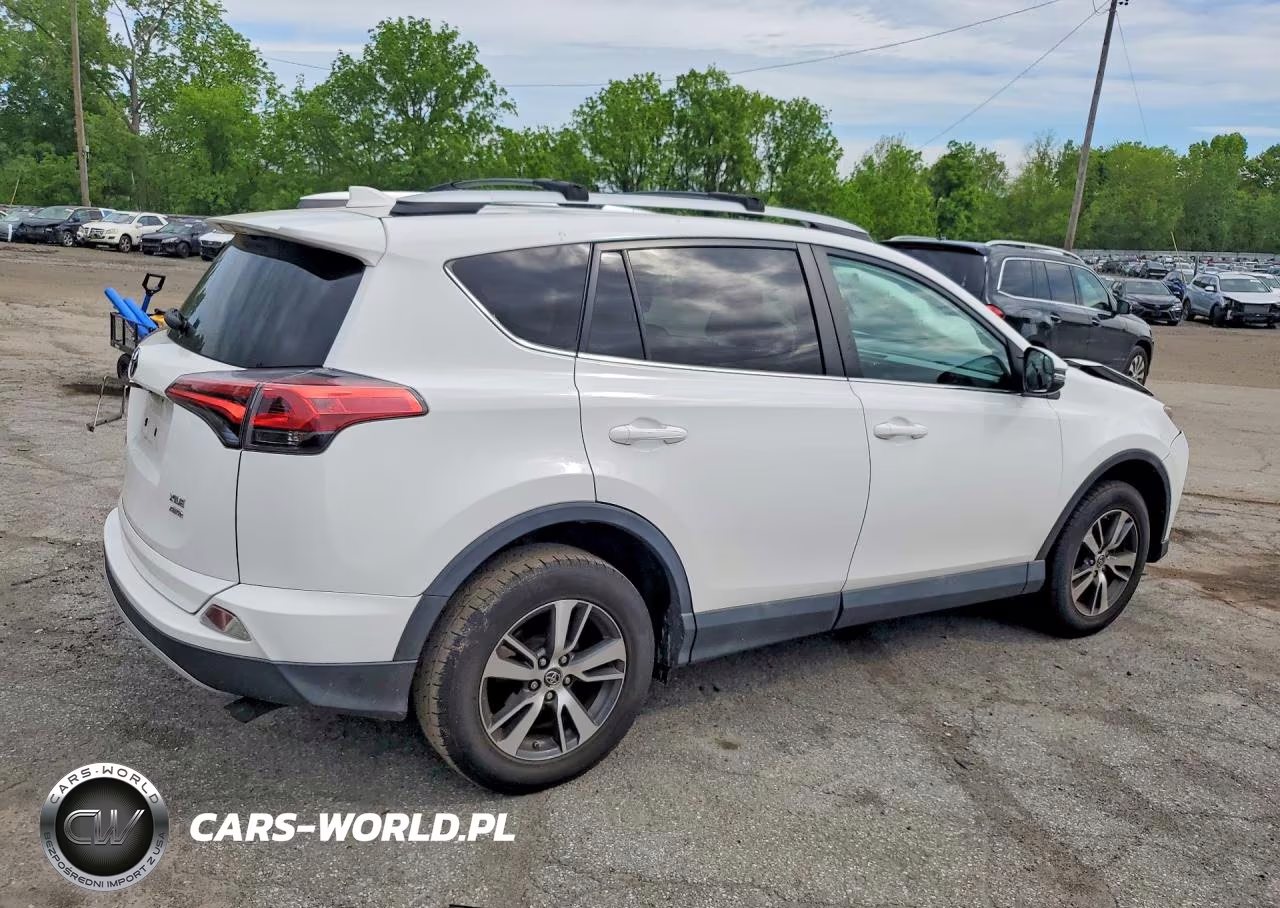 2016 Toyota Rav4 Xle VIN:2T3RFREV5GW476443 - 3