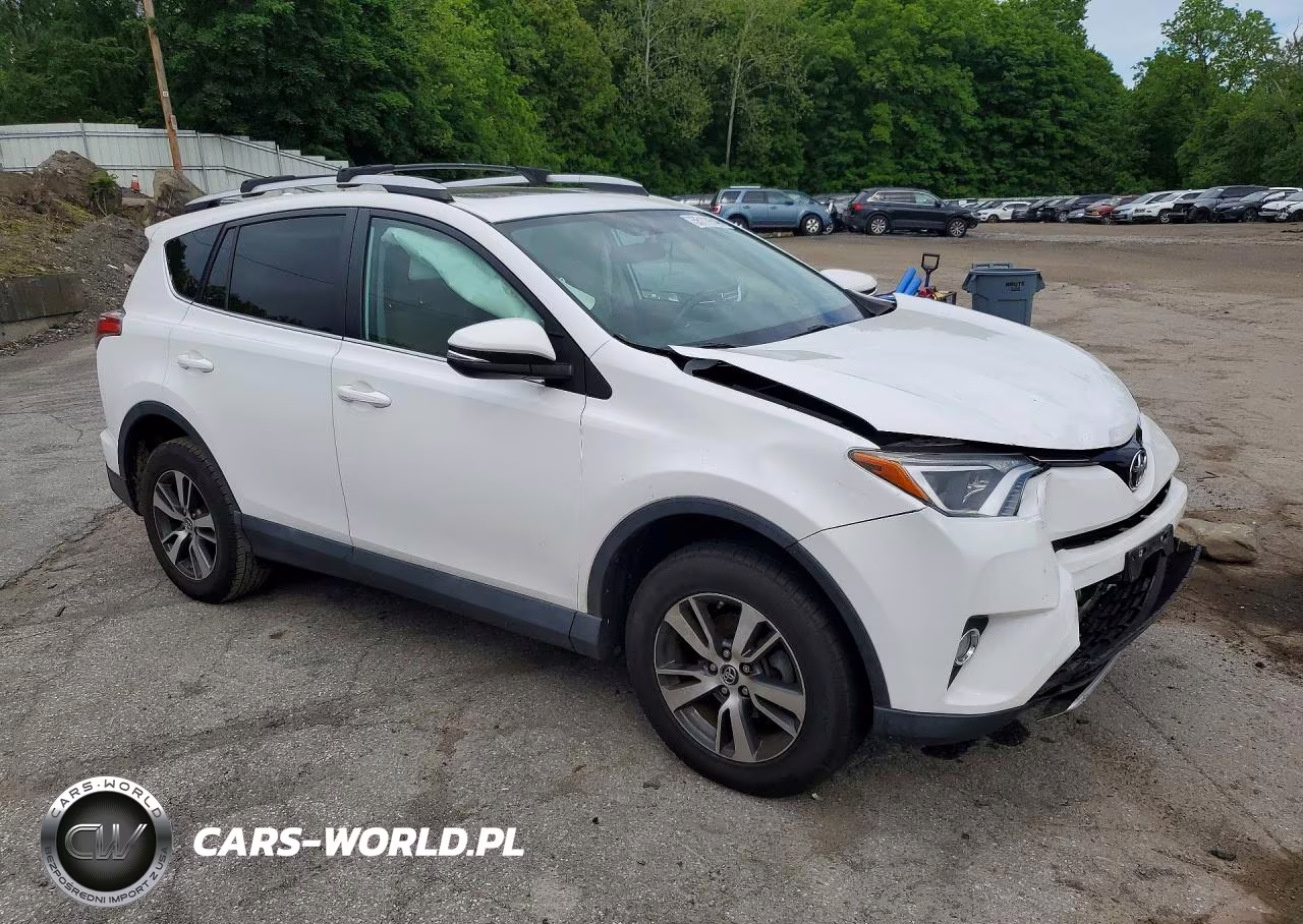 2016 Toyota Rav4 Xle VIN:2T3RFREV5GW476443 - 4