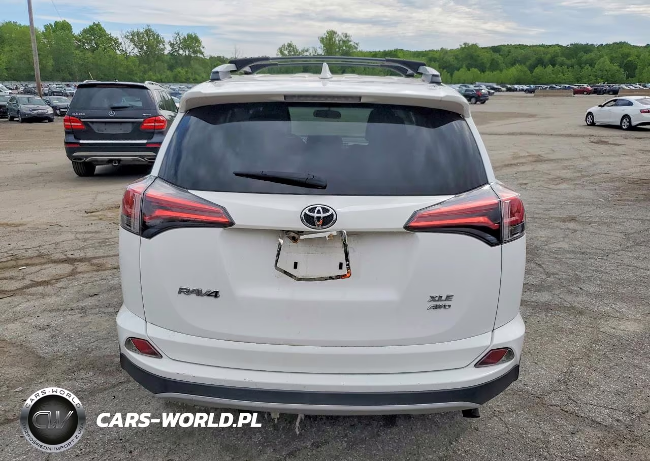 2016 Toyota Rav4 Xle VIN:2T3RFREV5GW476443 - 6